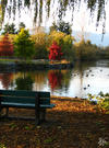 Fall Day at Sardis Park